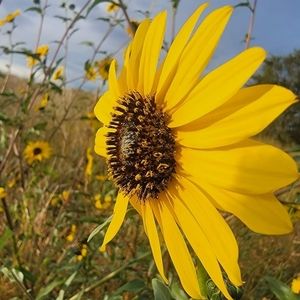 Meet your Posher, Hilarie